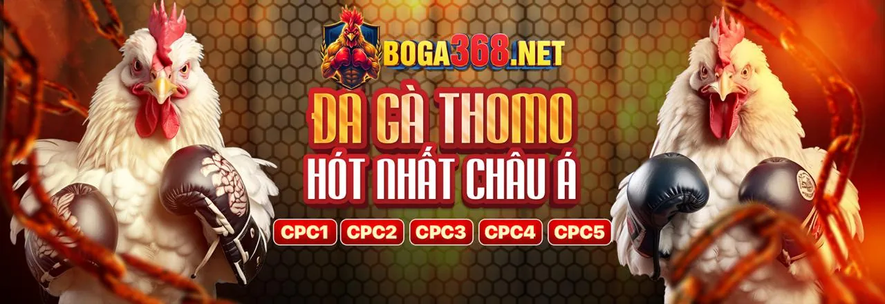 Chương trình VIP và Khách hàng thân thiết tại cá cược F88